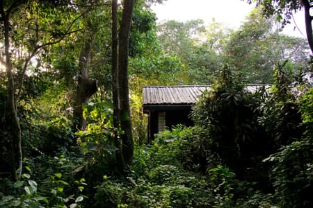 Entebbe Forest Lodge
